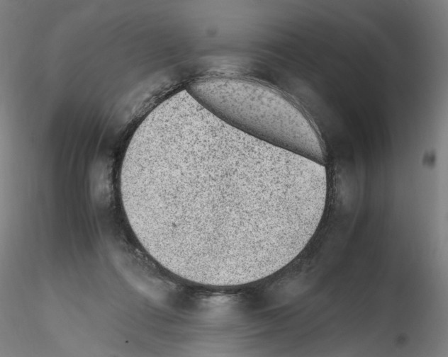 X0000115600312200912221152