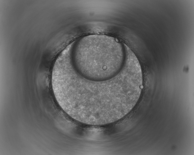 X0000115600313200912221152