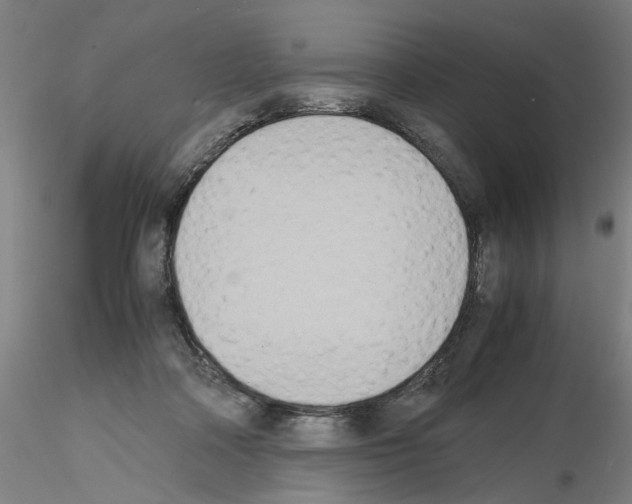 X0000115600314200912221151