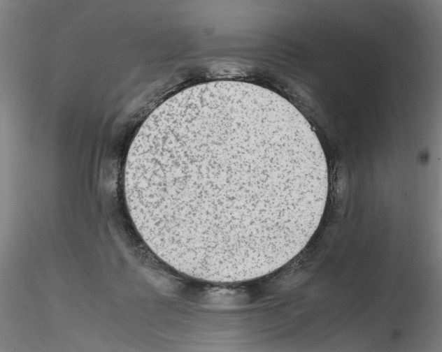 X0000115600315200912221151