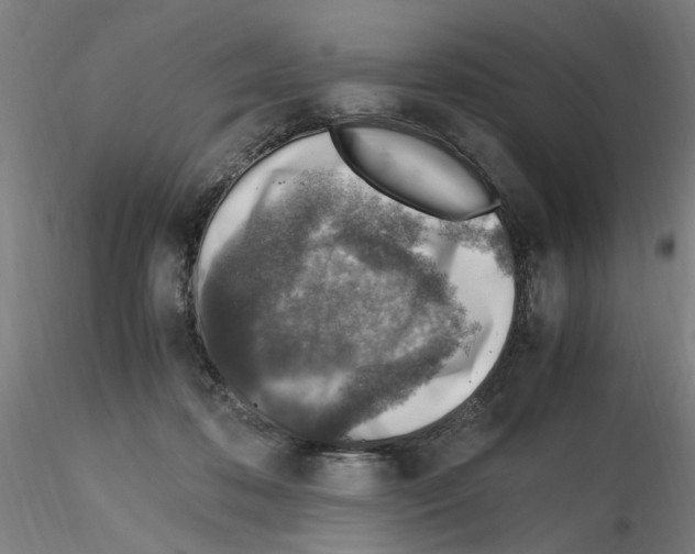 X0000115600316200912221151