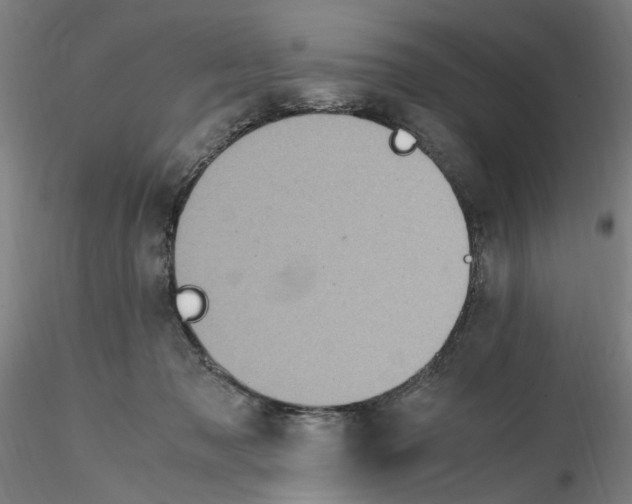 X0000115600317200912221151