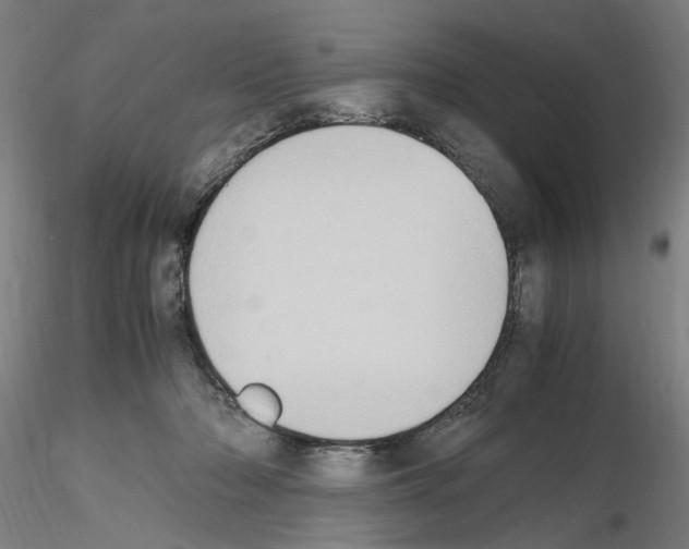 X0000115600318200912221151