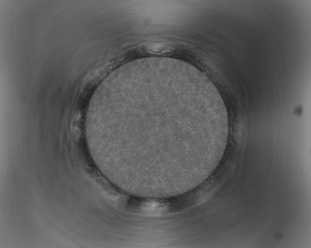 X0000115600319200912221151