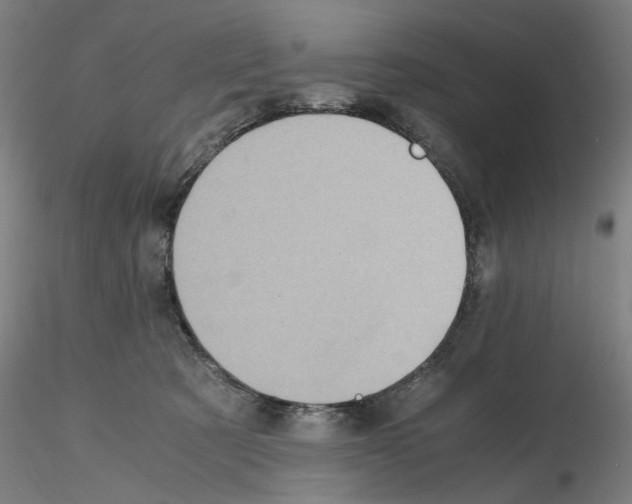 X0000115600321200912221151