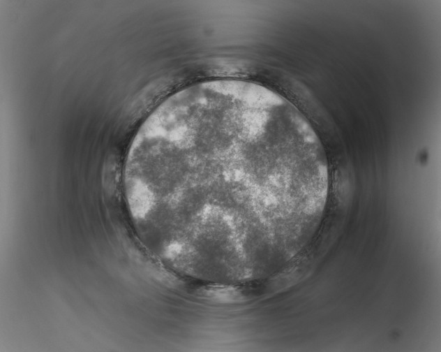 X0000115600322200912221151