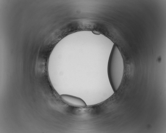 X0000115600323200912221151