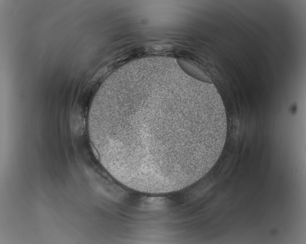 X0000115600324200912221151