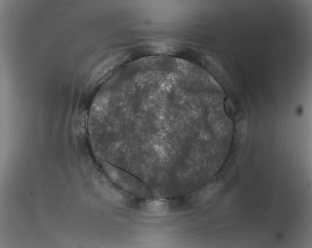 X0000115600325200912221151