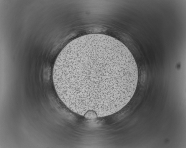 X0000115600326200912221151