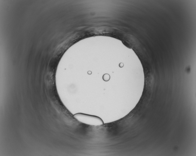 X0000115600327200912221151