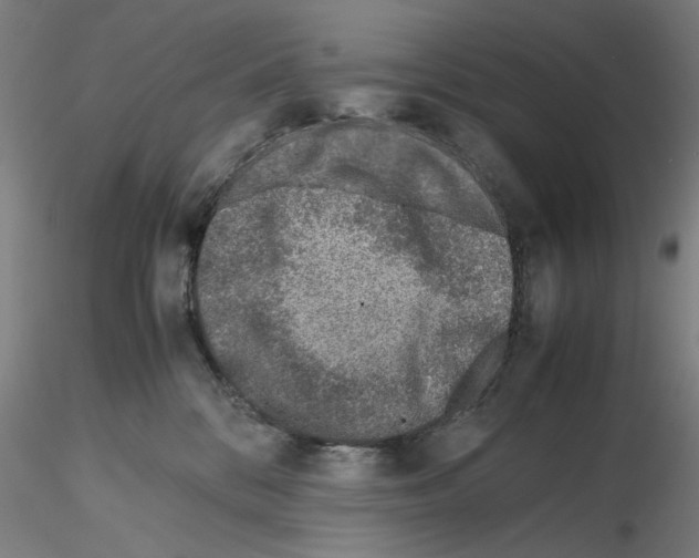 X0000115600328200912221151