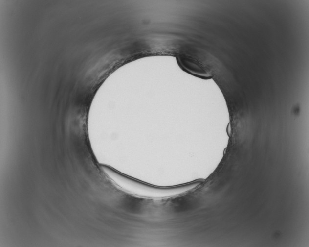 X0000115600329200912221151