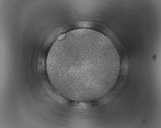 X0000115600330200912221151