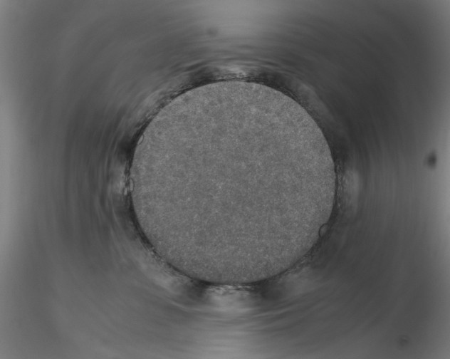 X0000115600331200912221151