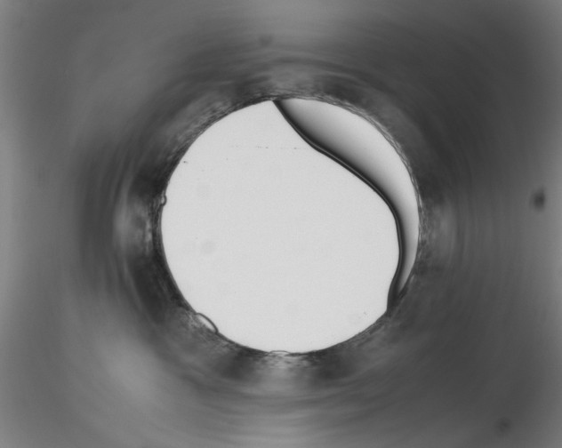 X0000115600333200912221151