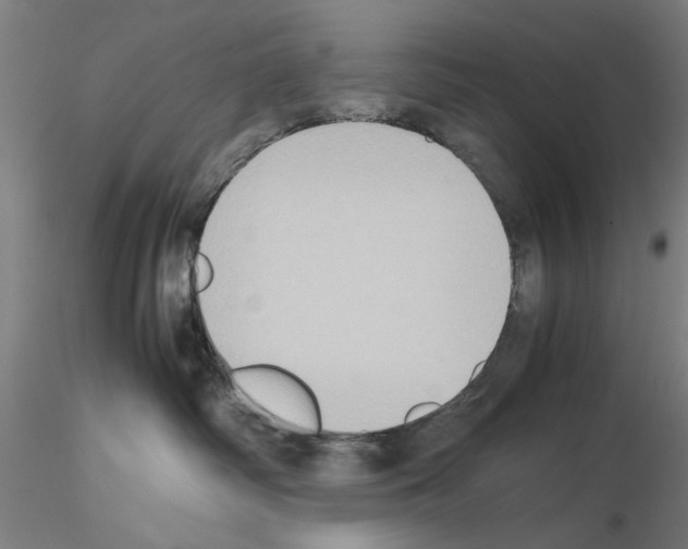 X0000115600334200912221151