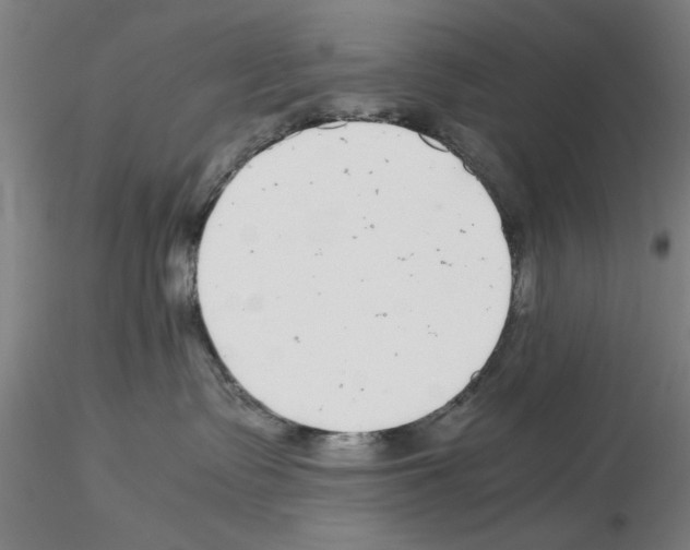 X0000115600335200912221151