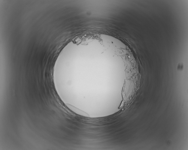 X0000115600336200912221151