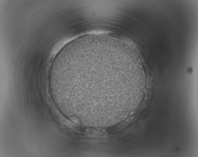 X0000115600337200912221151