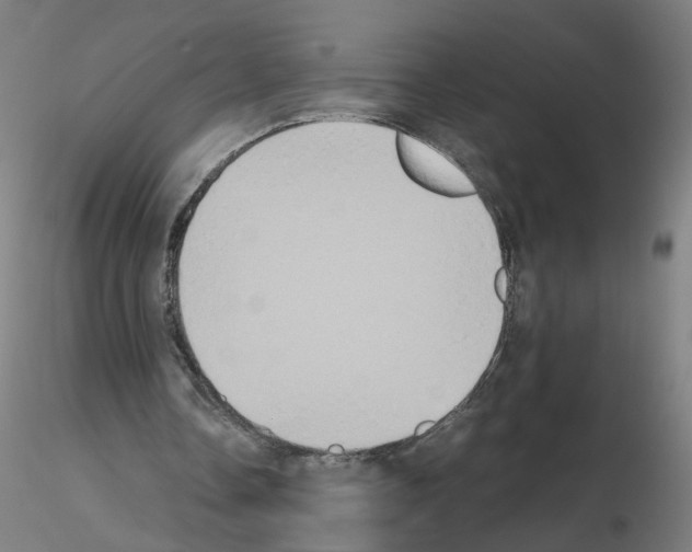 X0000115600338200912221151