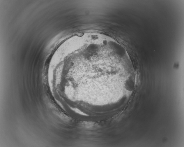 X0000115600339200912221151