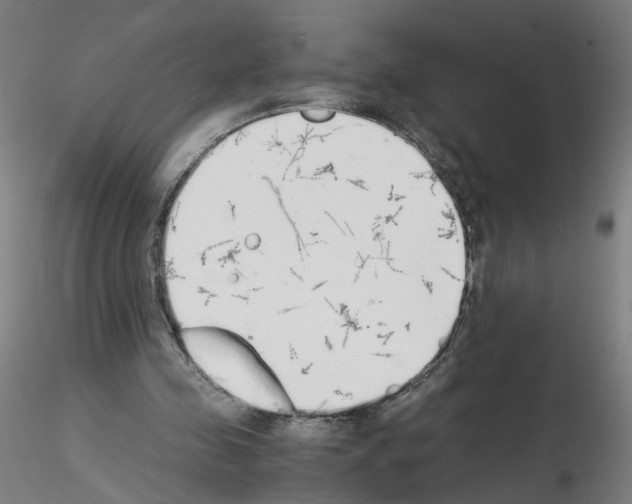 X0000115600341200912221151