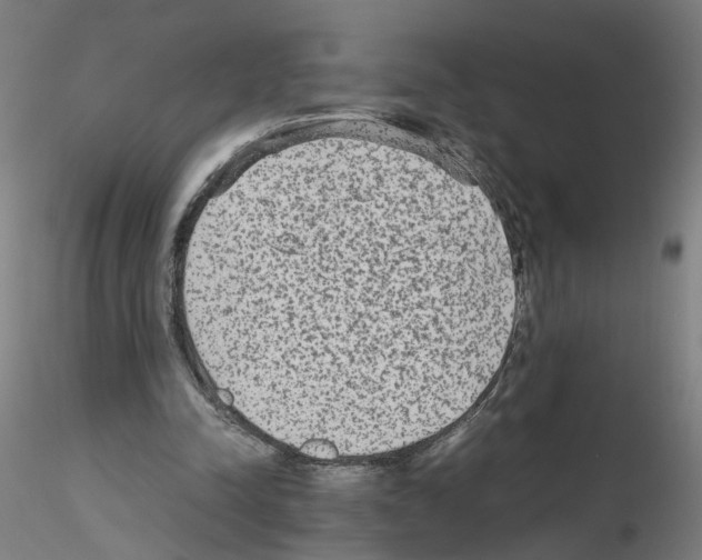 X0000115600342200912221151