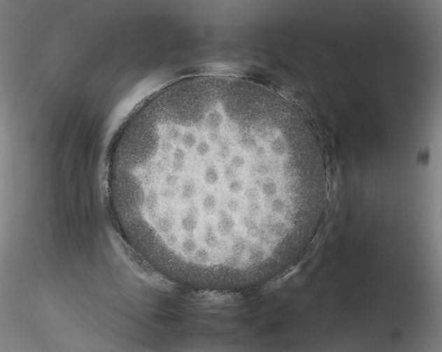 X0000115600343200912221151