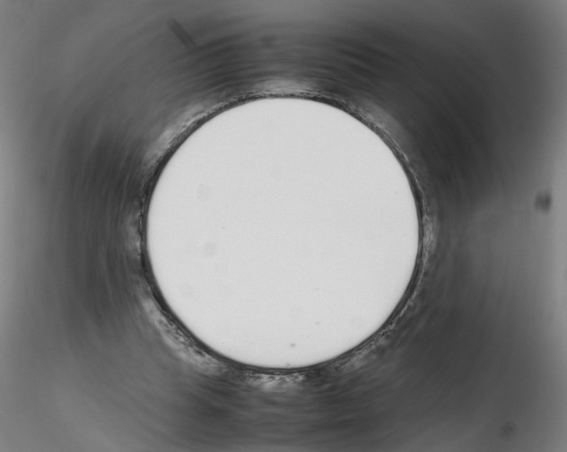 X0000115600345200912221151