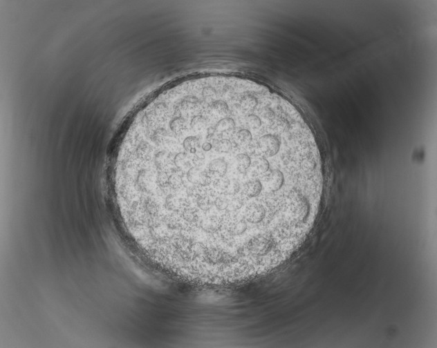 X0000115600346200912221151