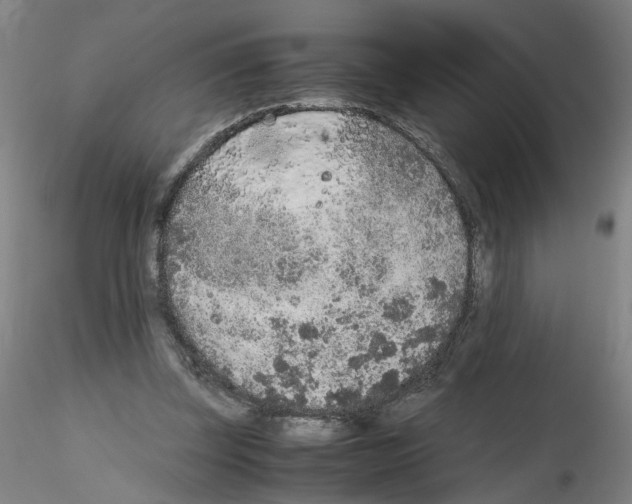 X0000115600347200912221151