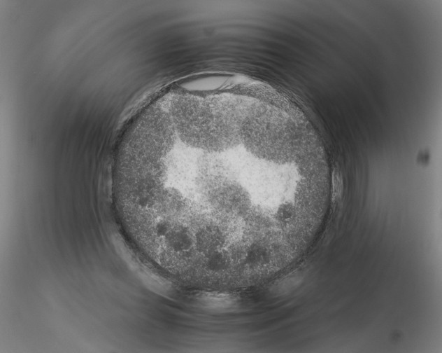 X0000115600349200912221151