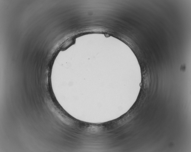 X0000115600350200912221151