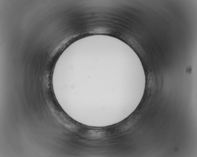 X0000115600351200912221151