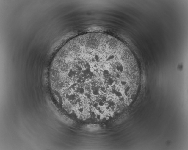 X0000115600353200912221151