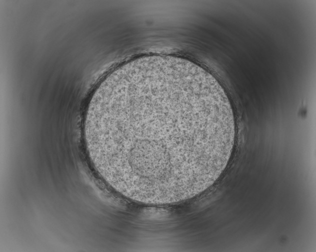 X0000115600354200912221151