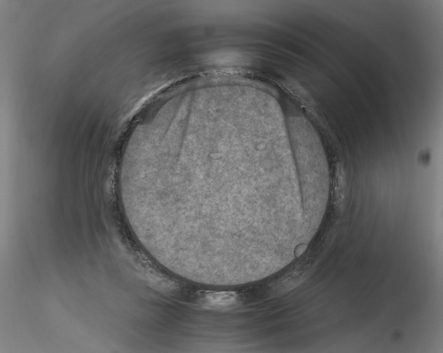 X0000115600355200912221151