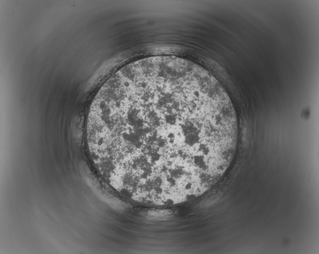 X0000115600357200912221151