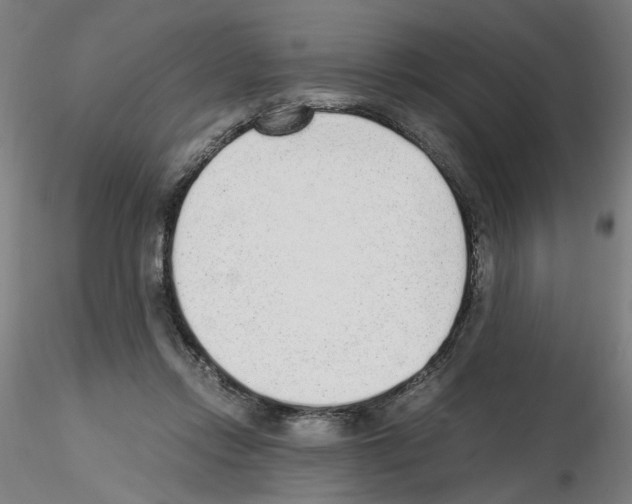 X0000115600358200912221151