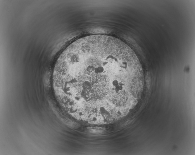 X0000115600359200912221151