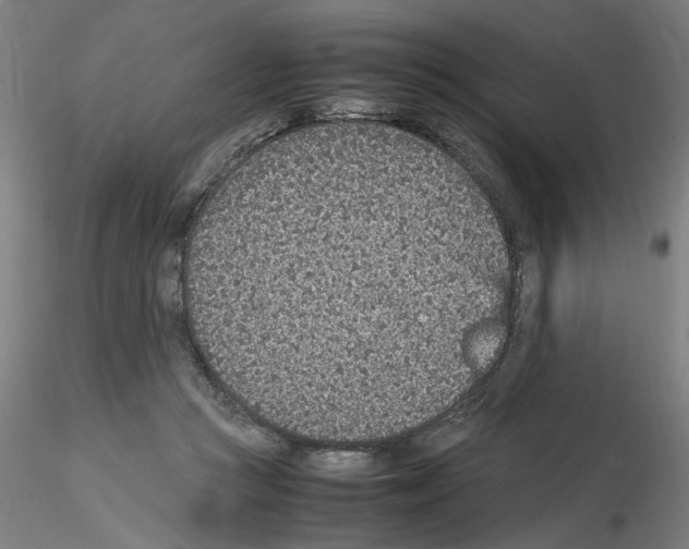 X0000115600361200912221151