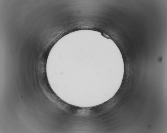 X0000115600362200912221151