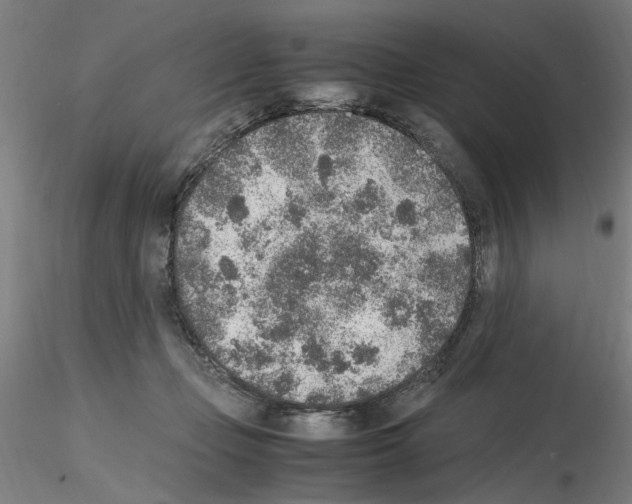 X0000115600365200912221151