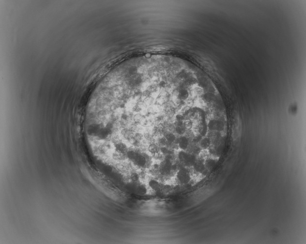 X0000115600366200912221151