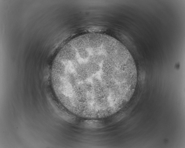 X0000115600367200912221151