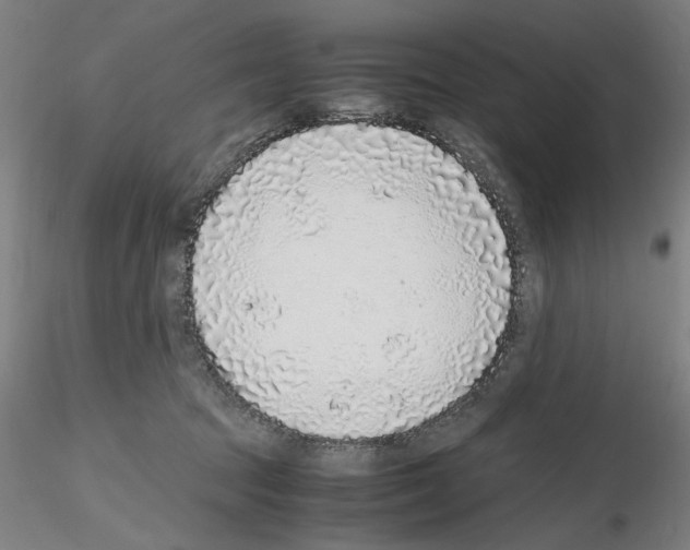 X0000115600369200912221151