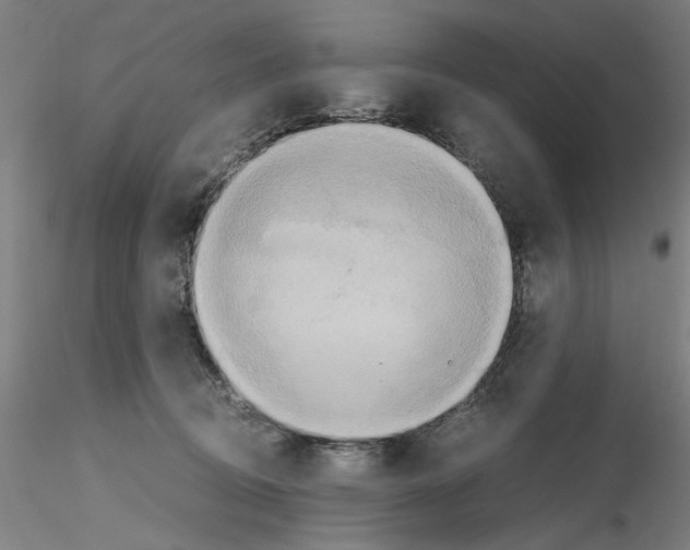 X0000115600370200912221151