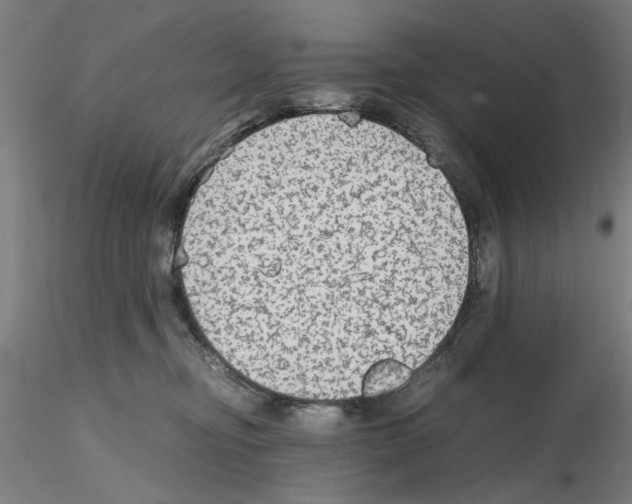 X0000115600374200912221151