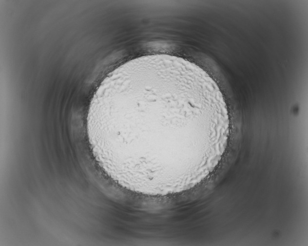 X0000115600377200912221151